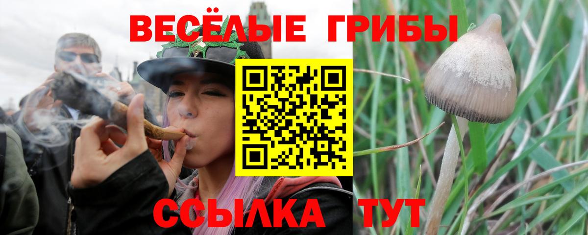 Галлюциногенные грибы мицелий  Галлюциногенные грибы GOLDEN TEACHER  Вход с VPN  Ессентуки 